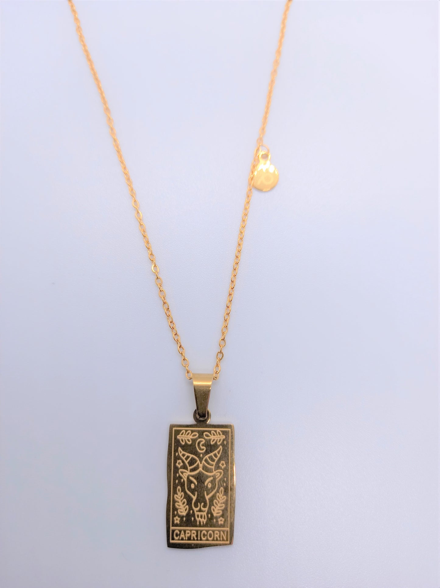 Zodiac 12 Signs Astrology Necklaces - Capricorn
