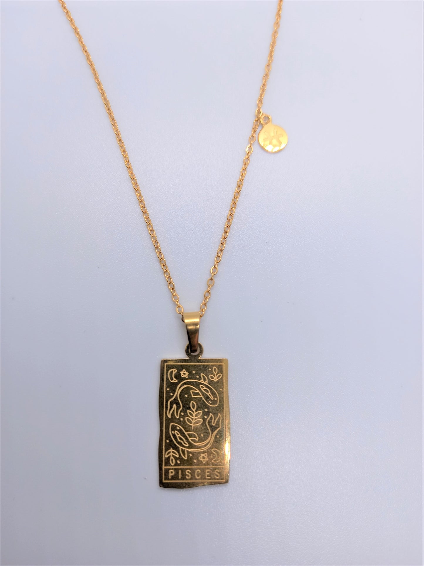 Zodiac 12 Signs Astrology Necklaces - Pisces