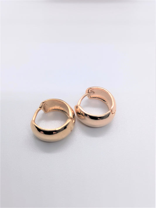 Gold filled Earrings - Small Wide Hoops